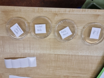20251020_135020.jpg